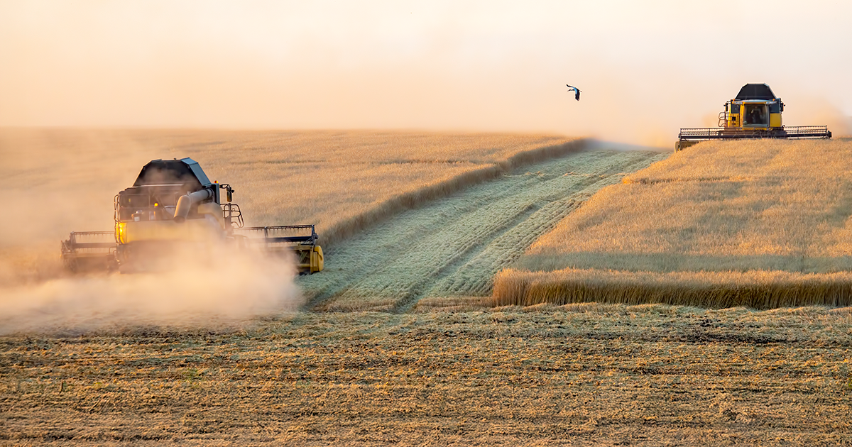 Principais Erros ao Manusear Peças Agrícolas na Época de Safra.